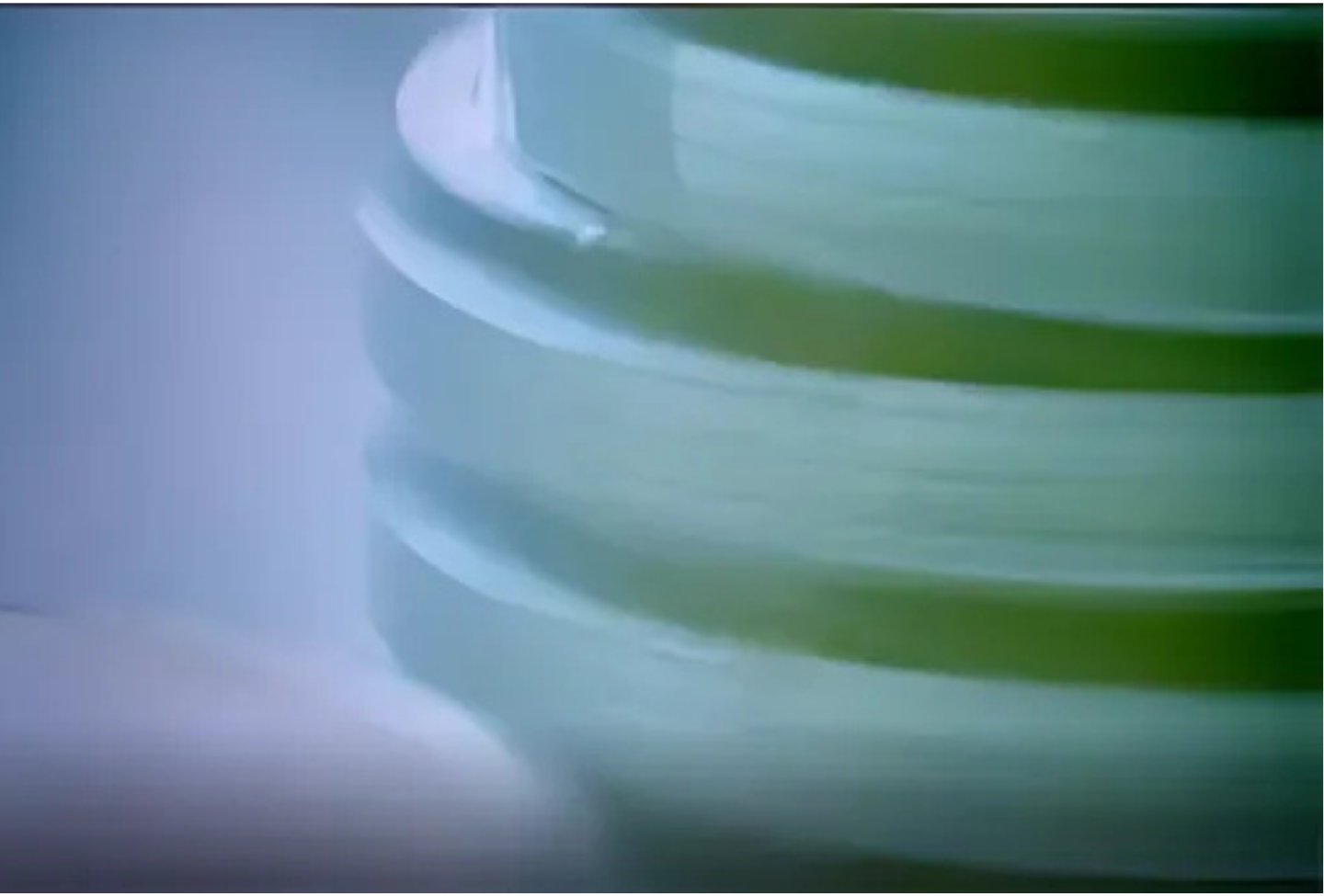 Belgian National TV — Report on Aging and Cryonics